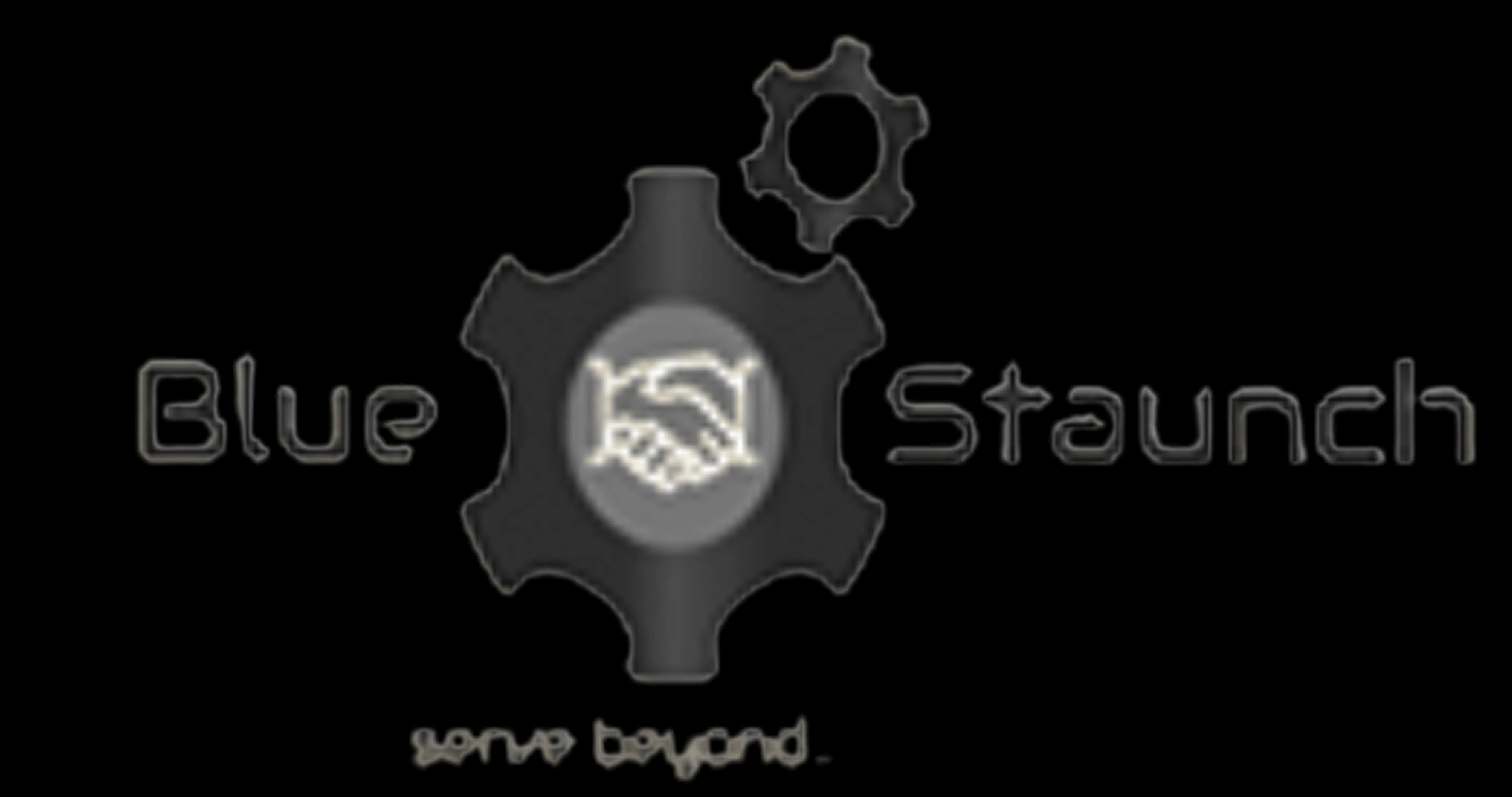 blue staunch infotech pvt ltd