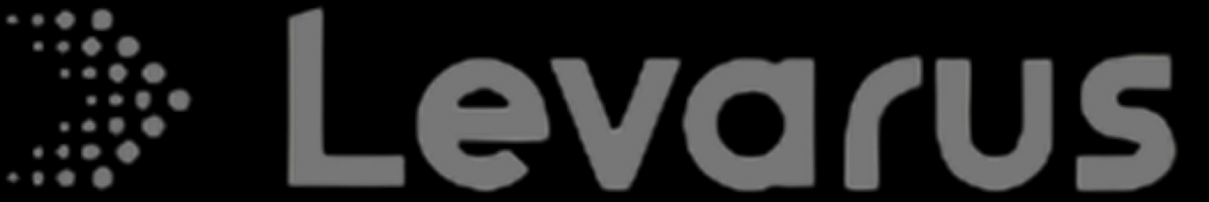 levarus technology consulting digital transformation